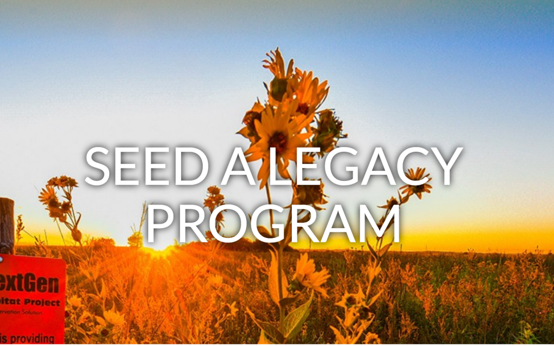 Bee and Butterfly Habitat Fund’s Seed a Legacy Program Accepting Applications through March