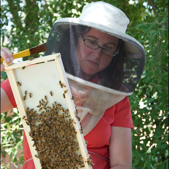 Western District Meeting to Feature Dr. Deborah Delaney on Sustainable Beekeeping
